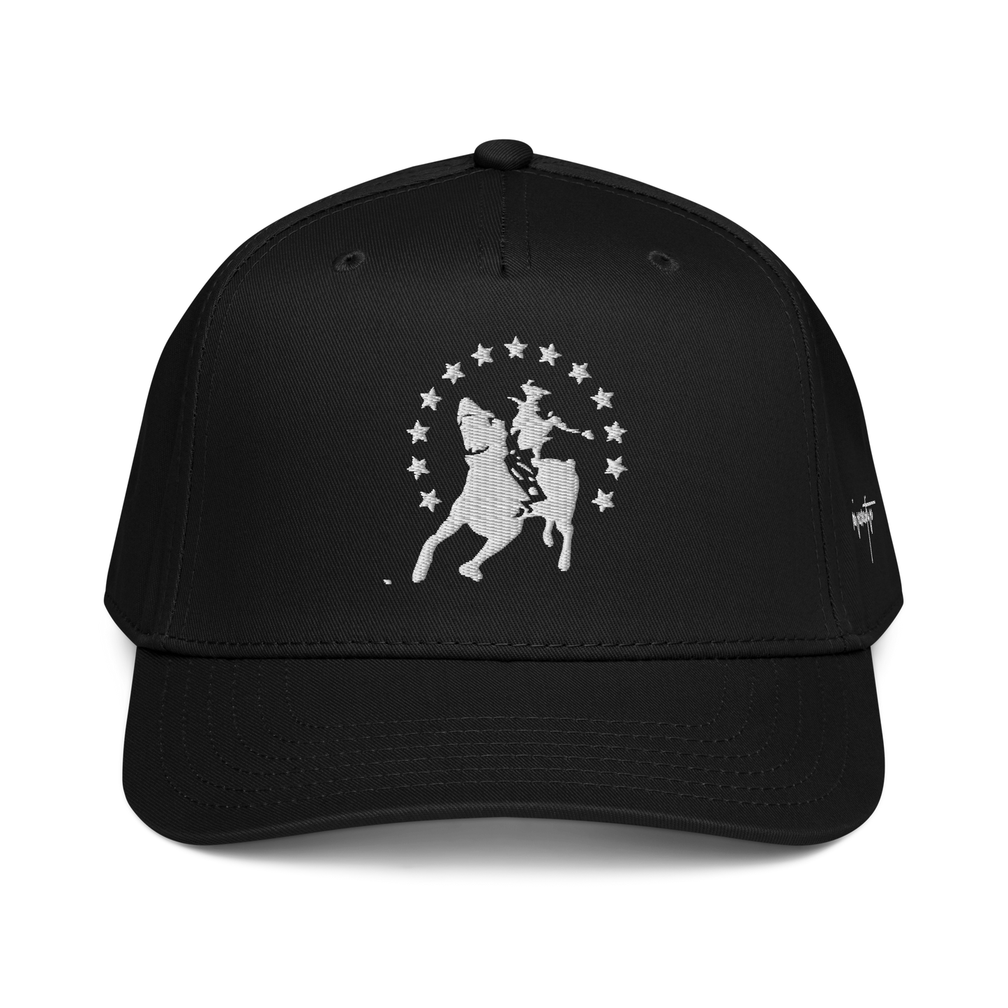 Essential 5 Panel Hat